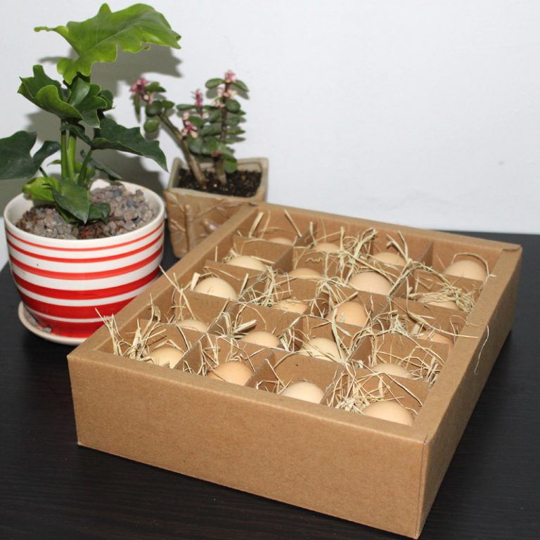 New egg carton manufacturer THE Box