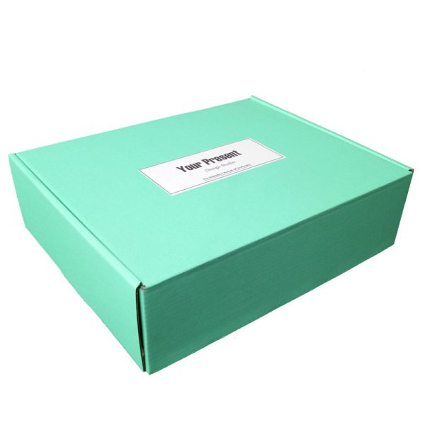 Color printing mailer box