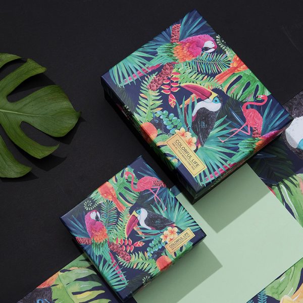 Tropical Rainforest Series Color Box