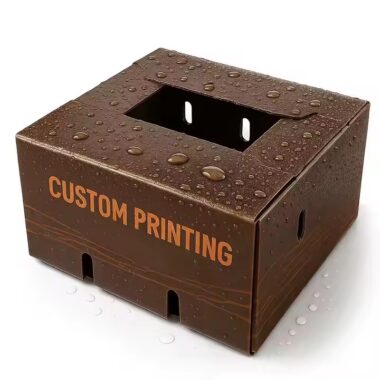Color Printed Cardboard Box for Fruits and Vegetables