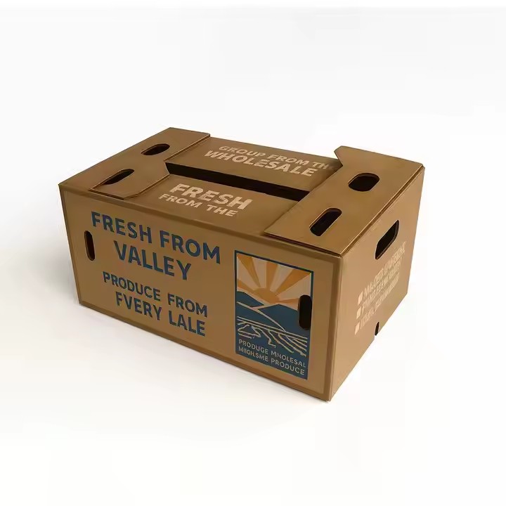 Color Printed Cardboard Box for Fruits and Vegetables