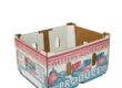 Color Printed Cardboard Box for Fruits and Vegetables