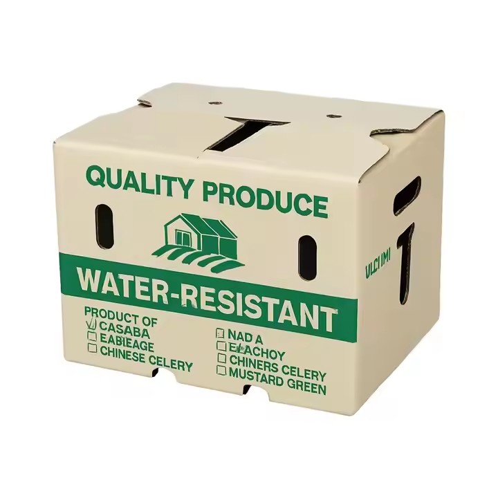 Custom color printed corrugated box for fruit and vegetable transportation