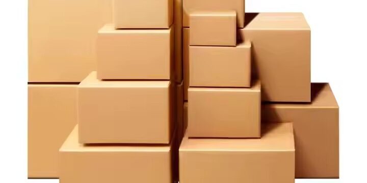 Custom Foldable Cardboard Box for Shipping and Storage