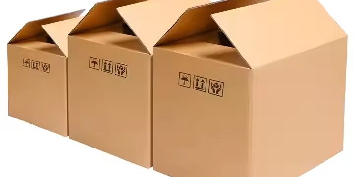 Custom Multi-Size Cardboard Box for Business Shopping and Moving
