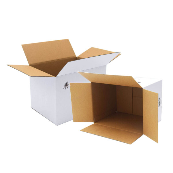 white corrugated cardboard shipping box