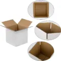 Large white corrugated paper mailer box