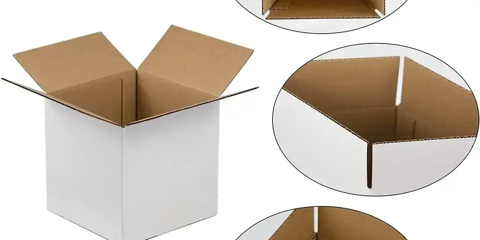Large white corrugated paper mailer box